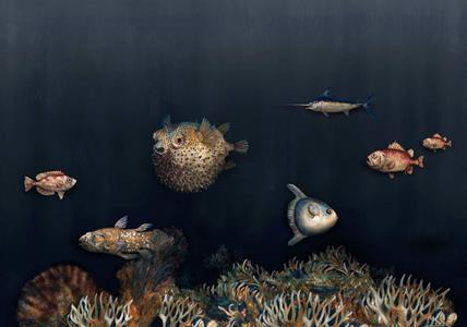 MURALE NATURAE PANT.    VINILICO OCEAN FISH V.MIS. AL MQ