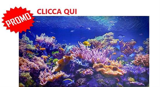 PANNELLO IN PVC -SPECIAL- 3D CORAL REEF 602x1002 mm