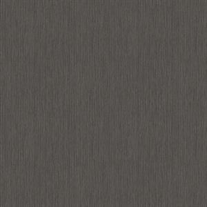 BREEZE PARATO TNT TINTA UNITA GRIGIO SCURO 10X0,53 MT