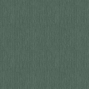 BREEZE PARATO TNT TINTA UNITA VERDE SCURO 10X0,53 MT