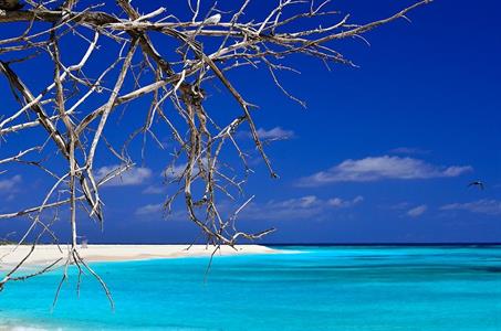 XXL WORLDTRIP STAMPA DIGITALE AL MQ SEYCHELLES IN BLUE SEYCHELLE