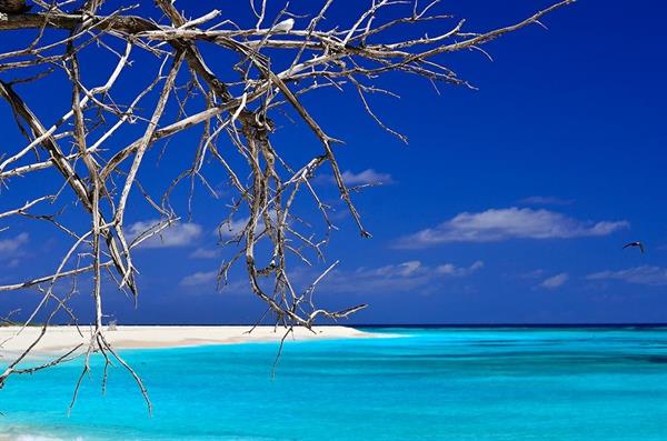 XXL WORLDTRIP STAMPA DIGITALE AL MQ SEYCHELLES IN BLUE SEYCHELLE