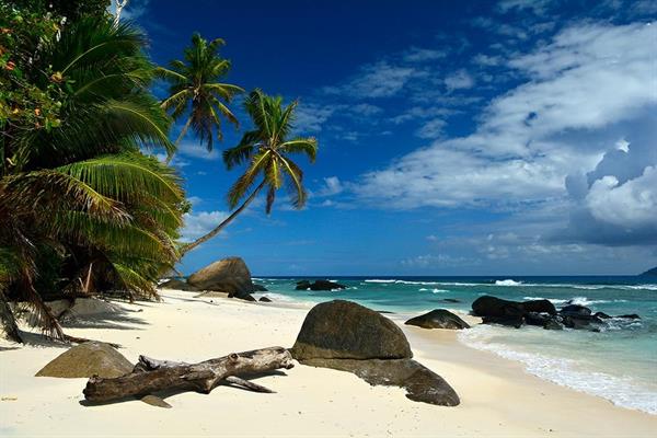 XXL WORLDTRIP STAMPA DIGITALE AL MQ SEYCHELLES PARADISE SEYCHELL