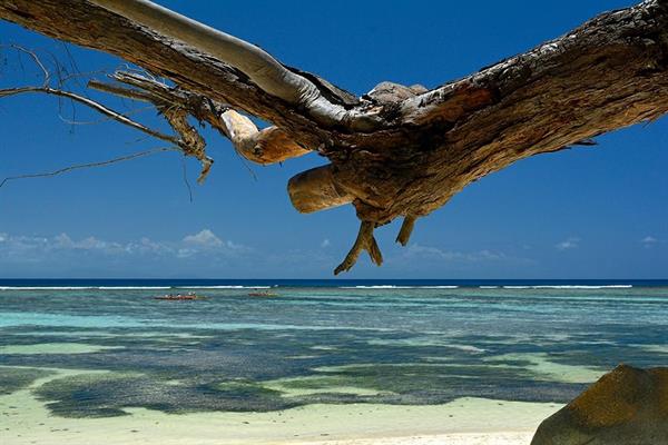 XXL WORLDTRIP STAMPA DIGITALE AL MQ SEA VIEW SEYCHELLES