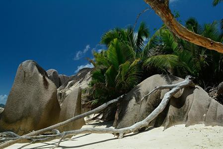 XXL WORLDTRIP STAMPA DIGITALE AL MQ ROCKS ON THE BEACH SEYCHELLE