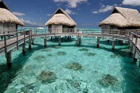 XXL WORLDTRIP STAMPA DIGITALE AL MQ OVERWATER BUNGALOWS TAHITI