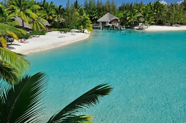 XXL WORLDTRIP STAMPA DIGITALE AL MQ FAVORITE PLACE TAHITI