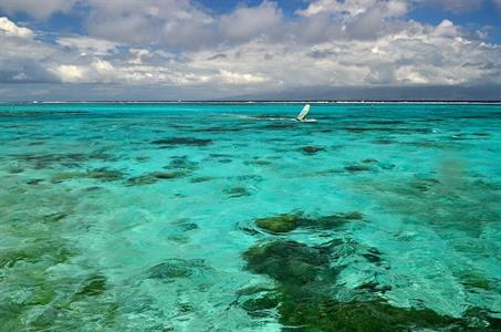 XXL WORLDTRIP STAMPA DIGITALE AL MQ LOVELY CLEAR SEA TAHITI
