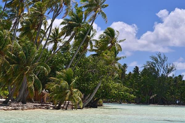 XXL WORLDTRIP STAMPA DIGITALE AL MQ TAHITI BEACHES TAHITI