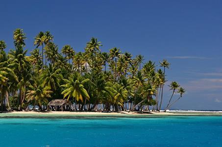 XXL WORLDTRIP STAMPA DIGITALE AL MQ THE PALMS OF TAHITI