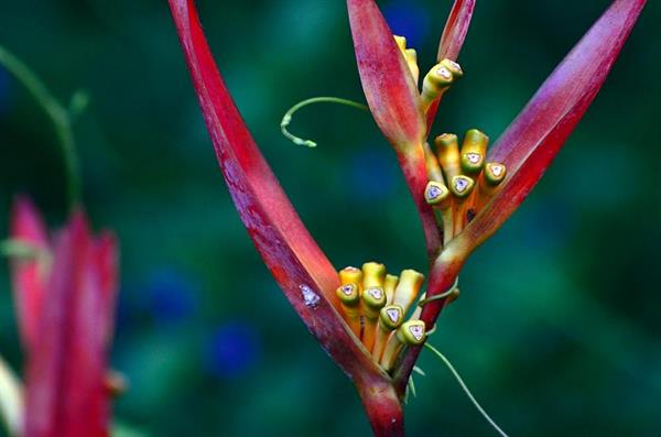 XXL WORLDTRIP STAMPA DIGITALE AL MQ EXCEPTIONAL BEAUTY TAHITI