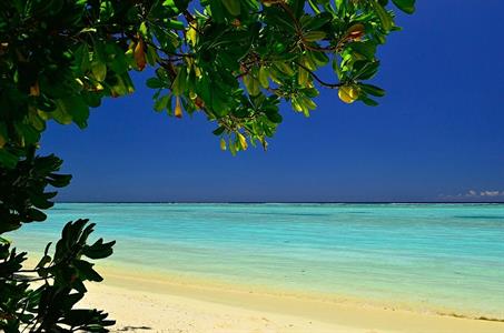XXL WORLDTRIP STAMPA DIGITALE AL MQ HEAVENLY SANDSTRAND MALEDIVE
