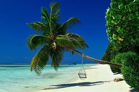 XXL WORLDTRIP STAMPA DIGITALE AL MQ HAMMOCK UNDER PALM TREES MAL