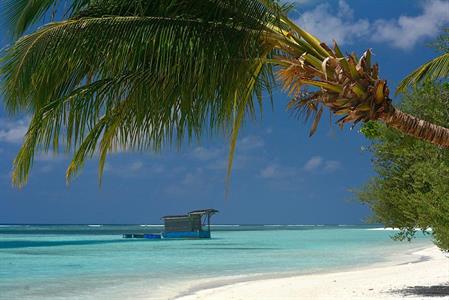 XXL WORLDTRIP STAMPA DIGITALE AL MQ CALM BEACH MALEDIVES
