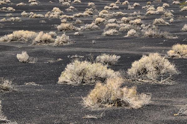 XXL WORLDTRIP STAMPA DIGITALE AL MQ DESERT LANDSCAPE USA