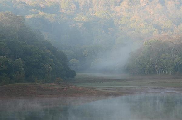 XXL WORLDTRIP STAMPA DIGITALE AL MQ FOGGY LANDSCAPE OF INDIA IND