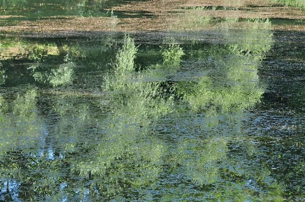 XXL WORLDTRIP STAMPA DIGITALE AL MQ GREEN LAKE AT ALPS MIRIBEL A