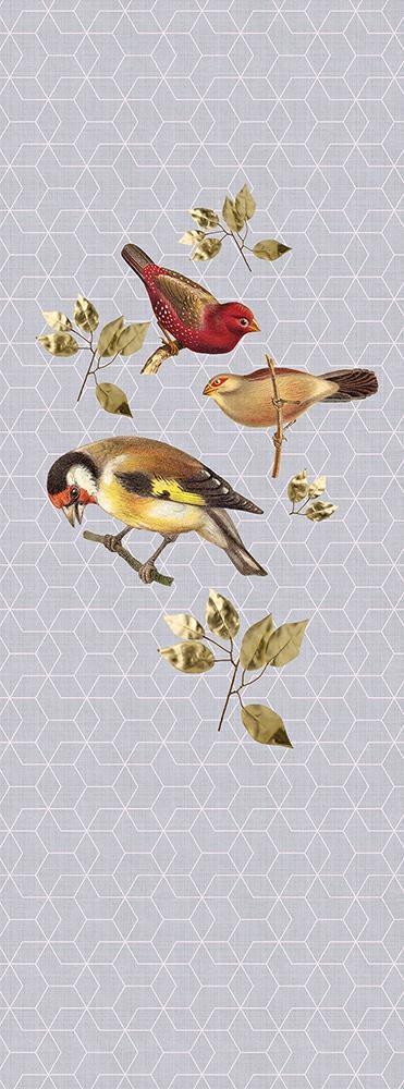 STAMPA DIG AL MQ SU SUPP200g/mq VLIES PREM BRILLIANT BIRDS PAN1