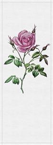 STAMPA DIG AL MQ SU SUPP200g/mq VLIES PREM SPRING PANELS2 ROSA