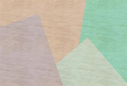 STAMPA DIG AL MQ SU SUPP200g/mq VLIES PREM INLAY1 MULT. VERDE CH