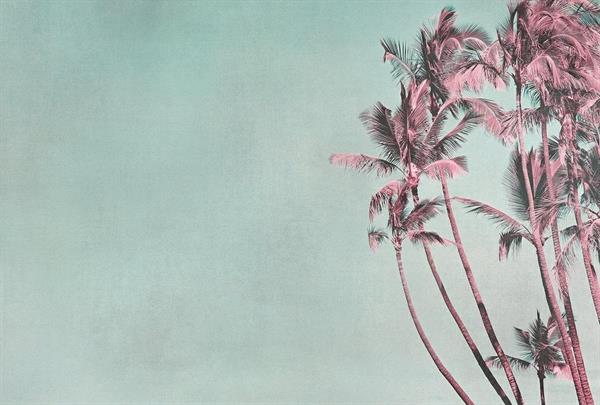 ARTIST STAMPA DIGITALE  TNT TROPICAL BREEZE MIS.270X400 CM