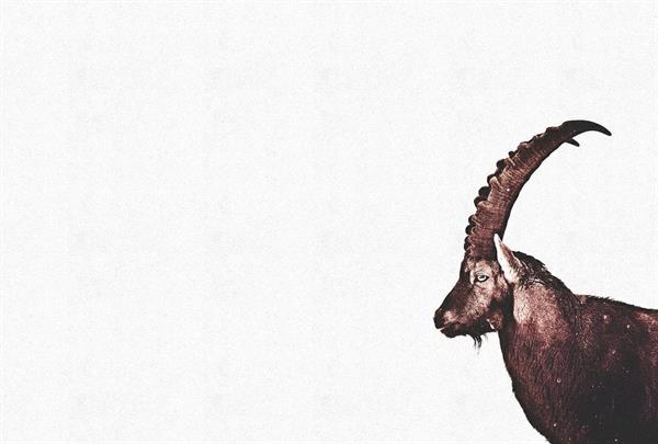 ARTIST STAMPA DIGITALE  TNT CAPRICORN MIS.270X400 CM