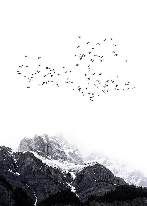 ARTIST STAMPA DIGITALE  TNT THE MOUNTAINS MIS.280X200CM