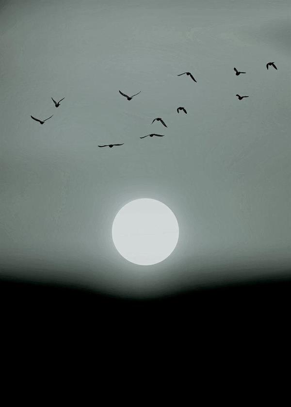 ARTIST STAMPA DIGITALE  TNT WINTER LIGHTS MIS.280X200CM