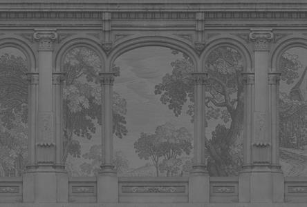 PATEL3 STAMPA DIGITALE  ROMA 5 MIS.270X400 CM