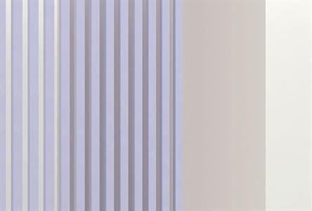 PATEL3 STAMPA DIGITALE  ILLUSION ROOM 1 MIS.270X400 CM