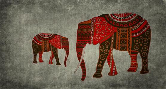 PATEL3 STAMPA DIGITALE  NAIROBI 4 MIS. 270X500 CM
