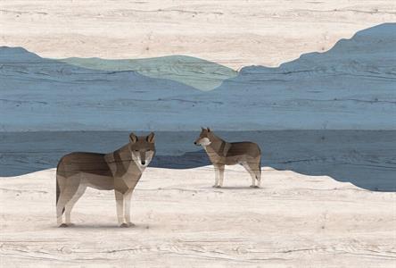 PATEL3 STAMPA DIGITALE  YUKON 1 MIS.270X400 CM