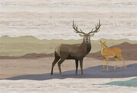 PATEL3 STAMPA DIGITALE  YUKON 2 MIS.270X400 CM