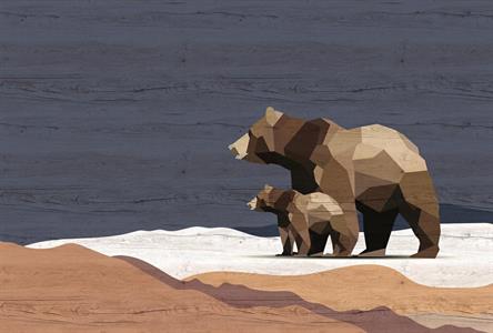 PATEL3 STAMPA DIGITALE  YUKON 3 MIS. 270X400 CM