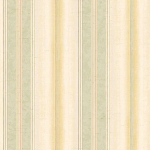 DORCHESTER PARATO SU TNT 10x0,52 mt