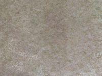 PARATO SU TNT 10x0,52 mt