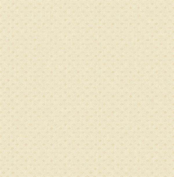 FLORENCIA PARATO TNT DISGNO E FANTASIE BEIGE 10x0,53mt