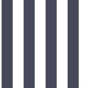 YACHT CLUB PARATO SU TNT RIGHE BIANCO BLU 10x0,53 mt