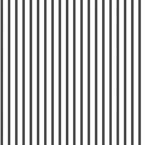 PARATO SMART STRIPES 24 /IN PVC/TNT RIGHE BLACK 0,53X10,05MT