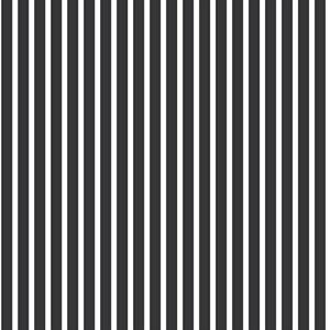 SMARTSTRIPES 2 PARATO SU TNT RIGHE BIANCO NERO 10x0,53 mt