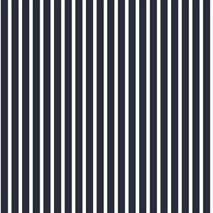SMARTSTRIPES 2 PARATO SU TNT RIGHE BIANCO BLU 10x0,53 mt