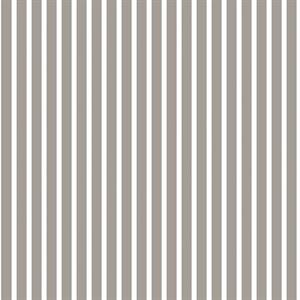 SMARTSTRIPES 2 PARATO SU TNT RIGHE BIANCO GRIGIO 10x0,53 mt