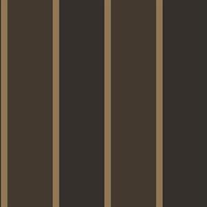 SMARTSTRIPES 2 PARATO SU TNT RIGHE NERO 10x0,53 mt