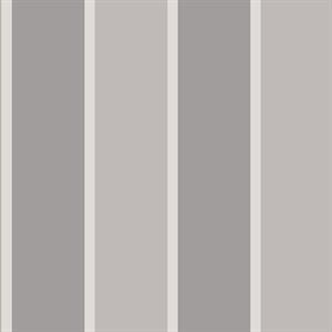 SMARTSTRIPES 2 PARATO SU TNT RIGHE GRIGIO 10x0,53 mt