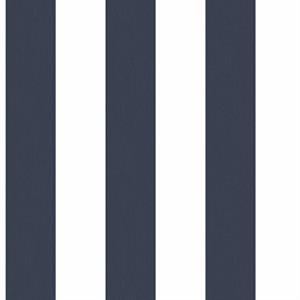 SMARTSTRIPES 2 PARATO SU TNT RIGHE BLU 10x0,53 mt