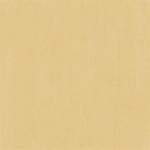 PARATO NATURAL FX2 VINILE/SU TNT UNITO PAGLIA 0,53X10,05MT