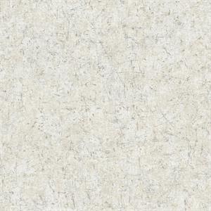 TEXTURE FX PARATO SU TNT EFFETTO MURO GRIGIO SILVER 10x0,53 mt