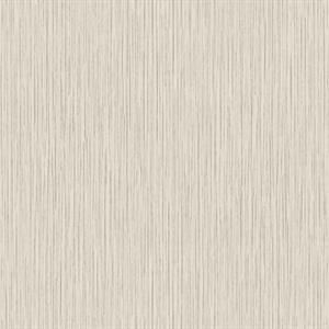 TEXTURE FX PARATO SU TNT MATERICO GRIGIO CHIARO 10x0,53 mt