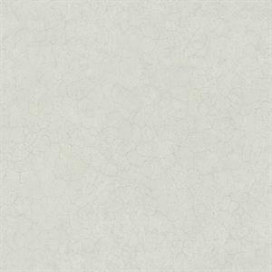 TEXTURE FX PARATO SU TNT EFFETTO PIETRO GRIGIO 10x0,53 mt