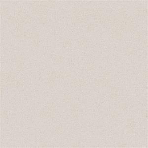 TEXTURE FX PARATO SU TNT MATERICO GRIGIO CHIARO 10x0,53 mt